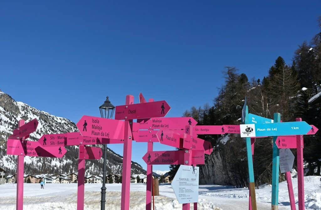 Photo of pink and blue road signs that are pointing in all directions, illustrating the concept that navigation menus should be intuitive and easy to follow.